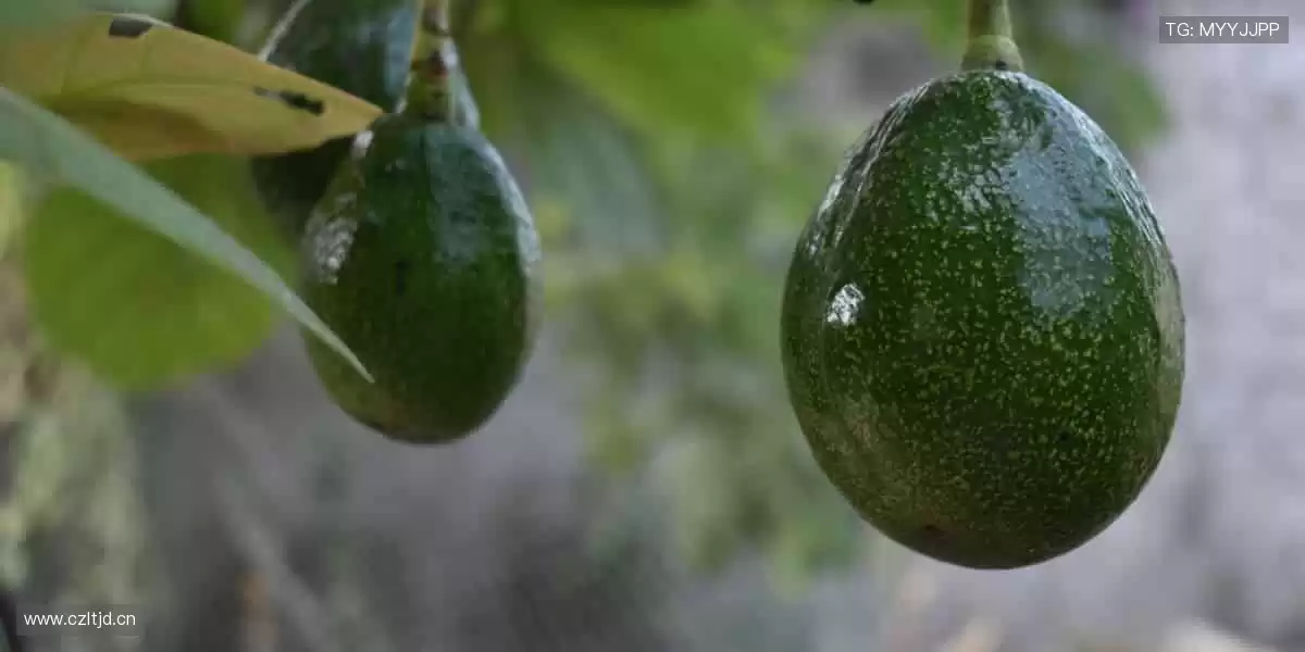 珍藏热爱，从这里开始！🎁🌟